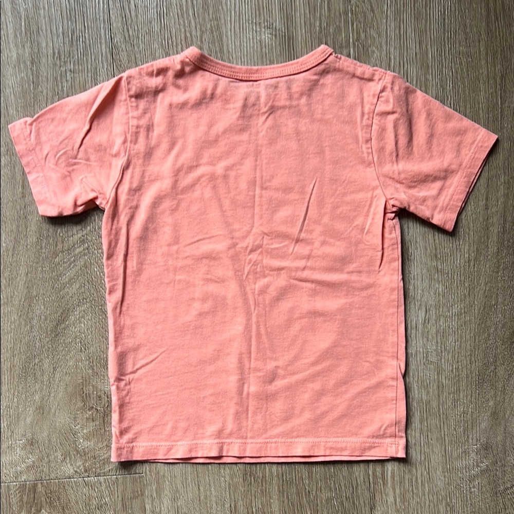 The Children’s Place Boys Bundle of Graphic Tees Size 4T - Picture 10 of 17
